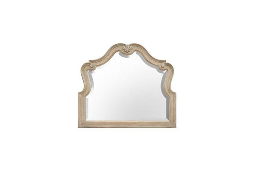 Magnussen Furniture Jocelyn Shaped Mirror in Weathered Taupe image